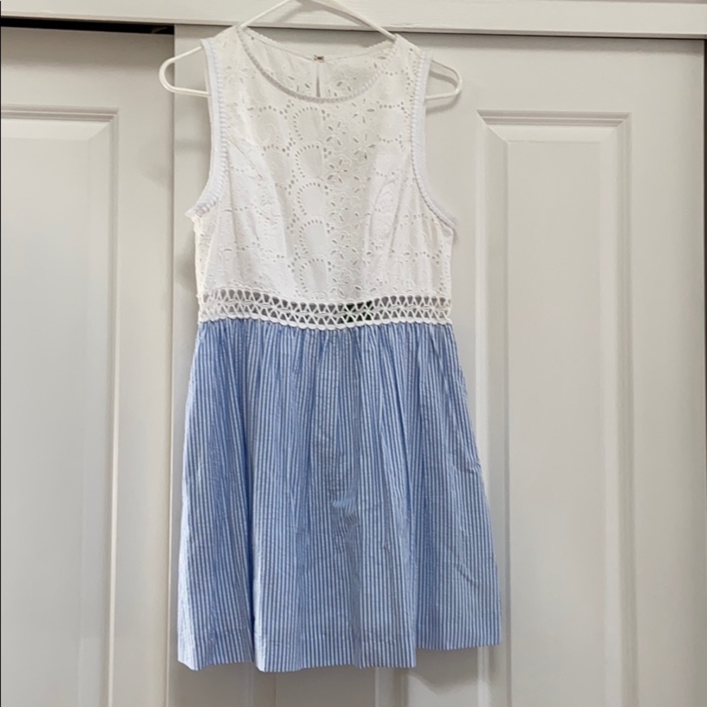 Lilly Pulitzer Blue and White Alivia Dress